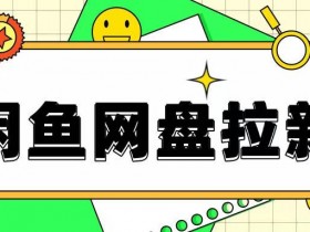 揭示夸克拉新是否可靠，分析夸克拉新项目的真实性与风险