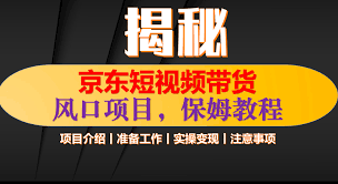 京东短视频带货如何通过数据分析优化推广，数据分析助力带货策略优化