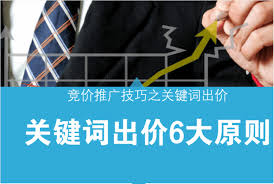 竞价推广如何评估账户表现，竞价账户表现评估标准与优化建议
