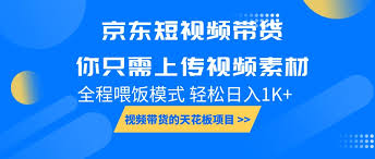 京东短视频带货如何通过数据分析优化推广，数据分析助力带货策略优化