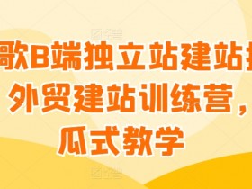 谷歌搜索广告如何进行地域定位，在谷歌搜索广告中进行精准地域投放的方法