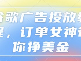 谷歌搜索广告投放方案怎么做，设计高效广告投放方案的步骤与策略