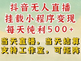抖音无人直播虚拟产品销售，如何通过无人直播销售虚拟产品获得利润
