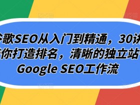 Googleseo推广技巧如何通过SEO引流增加网站流量，提升流量的Googleseo优化技巧