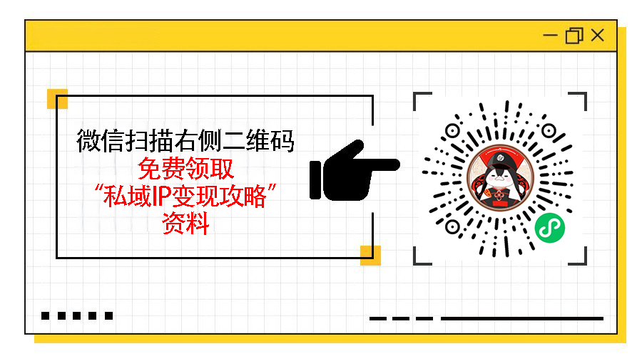私域IP变现者，成功的私域IP变现者经验分享