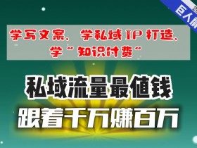 餐饮私域流量如何变现，餐饮行业如何通过私域流量变现提升销售