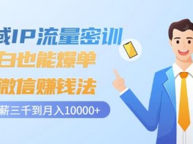 私域IP变现者，成功的私域IP变现者经验分享