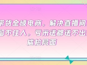全域电商平台搭建，如何搭建全域电商平台实现全域流量的最大化？