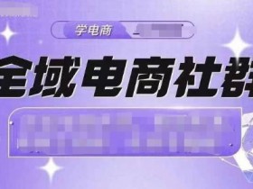 全域电商平台搭建，如何搭建全域电商平台实现全域流量的最大化？