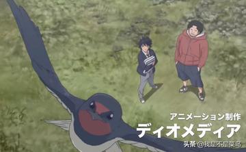 鸭子的天空过人集锦顶级技术展示，鸭子的天空经典过人集锦及其篮球技巧解析